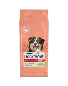 Сухой корм Пурина Дог Чау для взрослых собак при активном образе жизни с курицей Dog chow