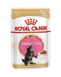 Влажный корм Консервы Паучи Роял Канин для Котят породы Мэйн Кун в возрасте до 15 месяцев Royal canin