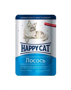 Паучи Хэппи Кэт для кошек Лосось ломтики в соусе цена за упаковку Германия Happy cat