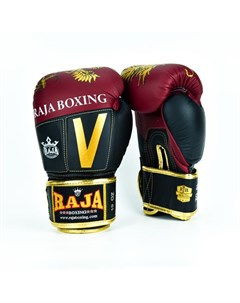 Боксерские перчатки Boxing Victory 14 OZ Raja