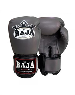 Боксерские перчатки Model 1 Grey 12 OZ Raja