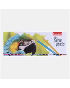 Набор цветных карандашей Попугаи 45цв в металлической коробке Bruynzeel