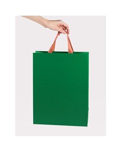 Пакет подарочный зеленый А3 30 х 40 х 12 см Symbol