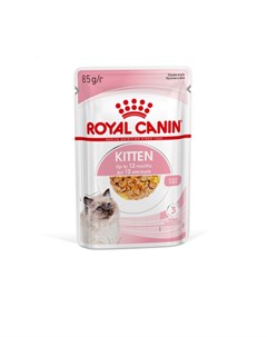 Kitten Jelly Корм консервированный полнорационный для кошек Специально для котят в период второй фаз Royal canin