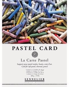 Альбом склейка для пастели Pastel Card 30х40 см 12 л 360 г 6 цветов Sennelier