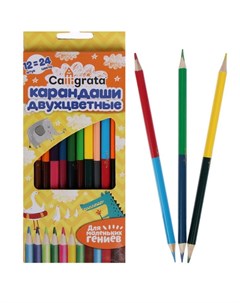 Двухцветные карандаши Calligrata