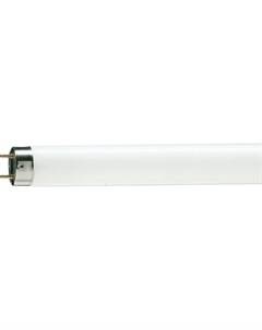Люминесцентная лампа Philips