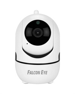 Сетевая беспроводная видеокамера Falcon eye
