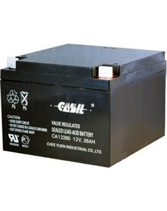 Аккумуляторная батарея Casil
