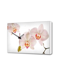 Настенные часы Белые Орхидеи Timebox 37х60х4см TL C5019 Toplight