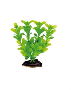 Искусственное растение 16см пластик блистер Dezzie