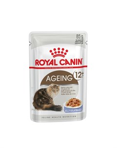 Feline Ageing 12 jelly повседневный влажный корм с мясом в желе для пожилых кошек старше 12 лет 85 г Royal canin