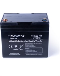 Тяговая аккумуляторная батарея Everest energy