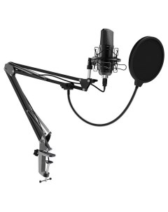 Студийный микрофон RDM 169 Black Ritmix