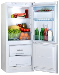 Двухкамерный холодильник RK 101 белый Pozis