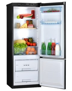 Двухкамерный холодильник RK 102 графитовый Pozis