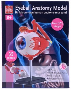 Анатомический набор SK007 Edu-toys
