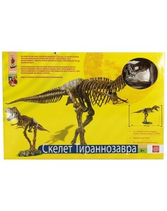 Набор Скелет Тиранозавра VT026 Edu-toys