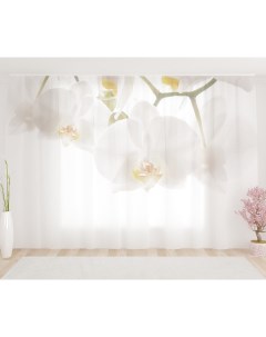 Фотошторы белые орхидеи 290х260 см 1 шт Олимп текстиль