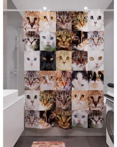 Фотошторы для ванной мордочки кошек 180х200 см Олимп текстиль