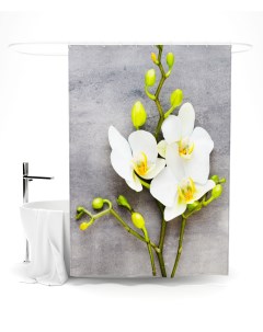 Шторы для ванной орхидея Сирень