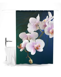 Шторы для ванной белая орхидея Сирень