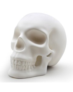 Лампа настольная skull light 13х16х19 см Suck uk