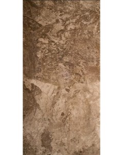 Керамогранит Fossil Floor Base Brown Rectified Lappato 60x120 Seranit