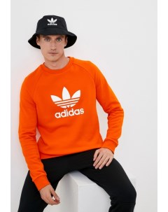 Свитшот Adidas originals