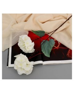 Цветы искусственные Гортензия розита 60 см белый Nnb