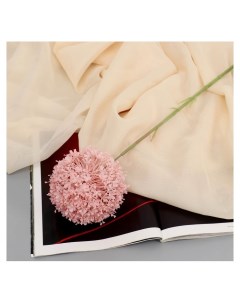 Цветы искусственные Краспедия шаровидная D 10 см 70 см розовый Nnb