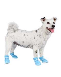 Ботинки дутики для собак M голубой унисекс Petmax