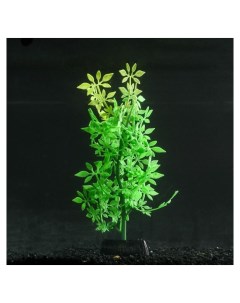 Растение силиконовое аквариумное светящееся в темноте зелёное 8 х 19 см Nnb