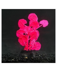 Растение силиконовое аквариумное светящееся в темноте 7 х 11 см розовое Nnb