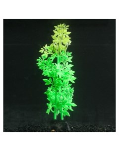 Растение силиконовое аквариумное светящееся в темноте 6 5 х 19 см зелёное Nnb