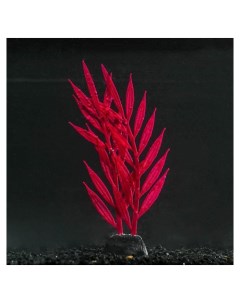 Растение силиконовое аквариумное светящееся в темноте 6 5 х 18 см красное Nnb