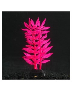 Растение силиконовое аквариумное светящееся в темноте 8 х 15 см розовое Nnb