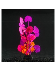 Растение силиконовое аквариумное светящееся в темноте 8 х 19 см разноцветное Nnb
