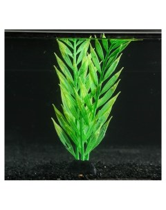 Растение силиконовое аквариумное светящееся в темноте 8 х 24 см зелёное Nnb