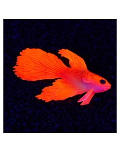Декор для аквариума бойцовая рыбка силиконовая с неоновым эффектом 8 х 1 5 х 5 2 см красная Nnb