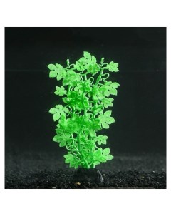 Растение силиконовое аквариумное светящееся в темноте 6 5 х 18 см зелёное Nnb