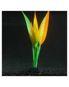 Растение силиконовое аквариумное светящееся в темноте 12 х 20 см зелёно оранжевое Nnb