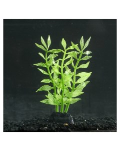 Растение силиконовое аквариумное светящееся в темноте зелёное 8 х 15 см Nnb