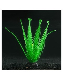 Растение силиконовое аквариумное светящееся в темноте зелёное 10 5 х 18 см Nnb