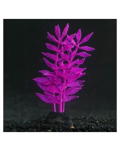 Растение силиконовое аквариумное светящееся в темноте 8 х 15 см фиолетовое Nnb