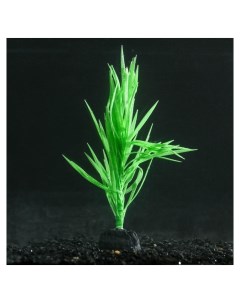 Растение силиконовое аквариумное светящееся в темноте 7 х 12 5 см зелёное Nnb