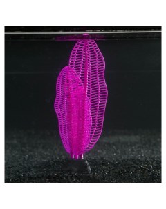 Растение силиконовое аквариумное светящееся в темноте 6 х 19 см фиолетовое Nnb