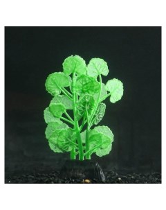 Растение силиконовое аквариумное светящееся в темноте 7 х 11 см зелёное Nnb