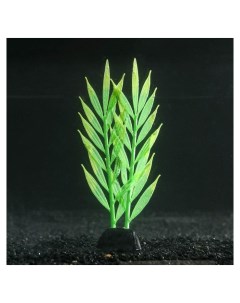 Растение силиконовое аквариумное светящееся в темноте 6 5 х 18 см зелёное Nnb