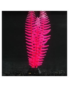 Растение силиконовое аквариумное светящееся в темноте 8 х 23 см розовое Nnb